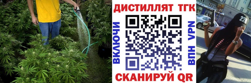 купить наркотик  hydra маркетплейс  Дистиллят ТГК Wax  Карталы 